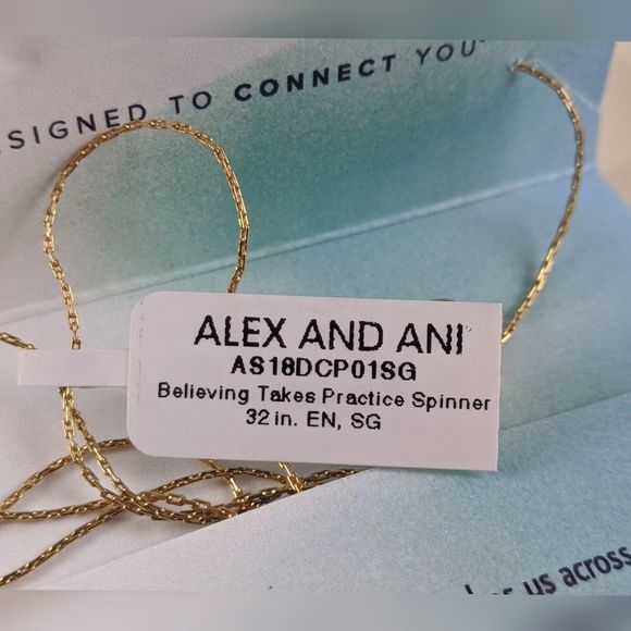 Alex and Ani Disney Believing  Spinner Necklace